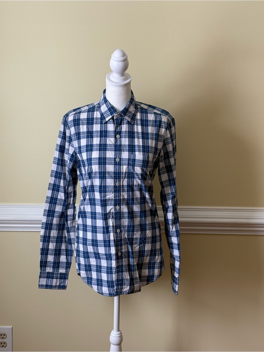 American Eagle Outfitters Blue and White Plaid Long-Sleeve Button-Up Shirt